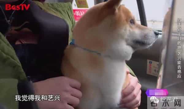 罗志祥老婆最喜欢的颜色