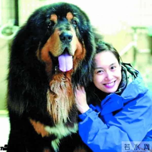 舒淇出卖林心如