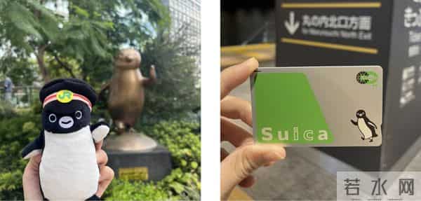 林俊杰炮KING是真的吗