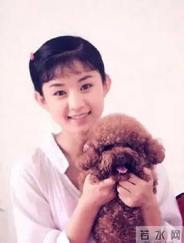 赵丽颖做了几年朝阳v姐