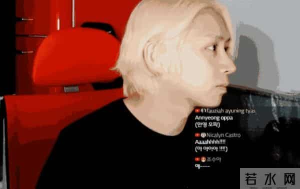 金希澈收养雪莉的猫