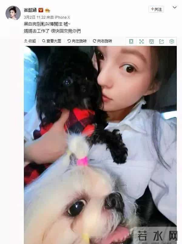 台湾七仙女都有谁