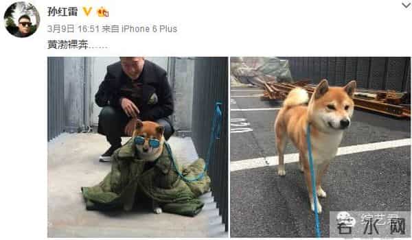 罗志祥老婆最喜欢的颜色