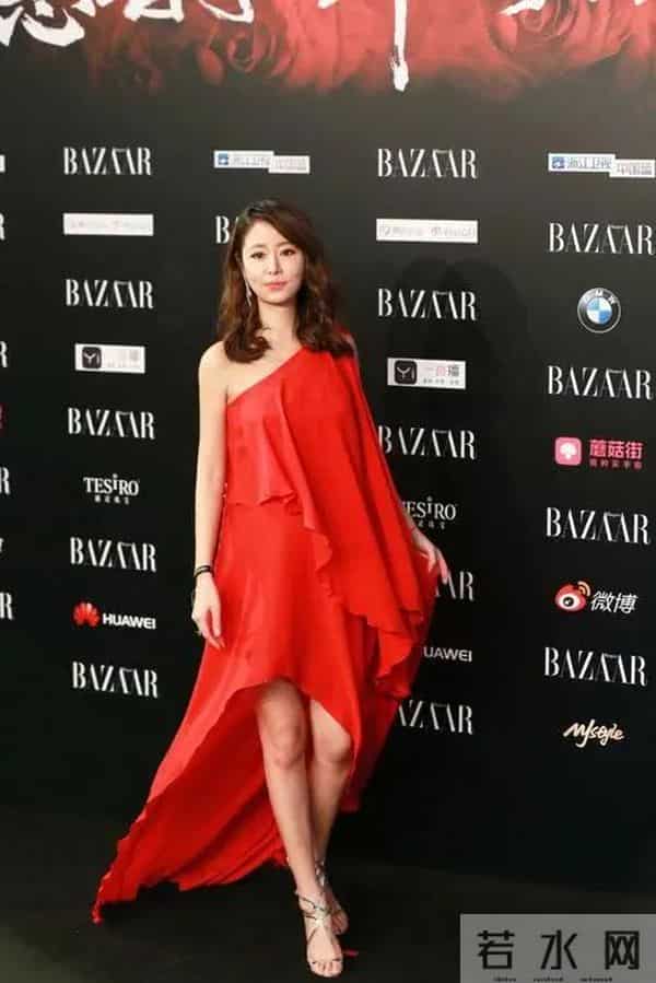 蔡依林个人简历