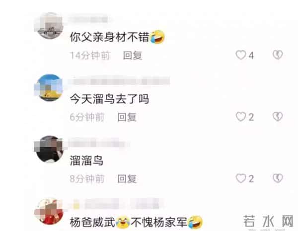 杨爸网上遛鸟的原视频