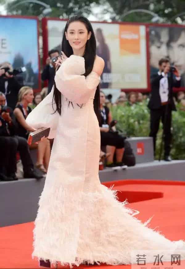 范冰冰为什么是范公交