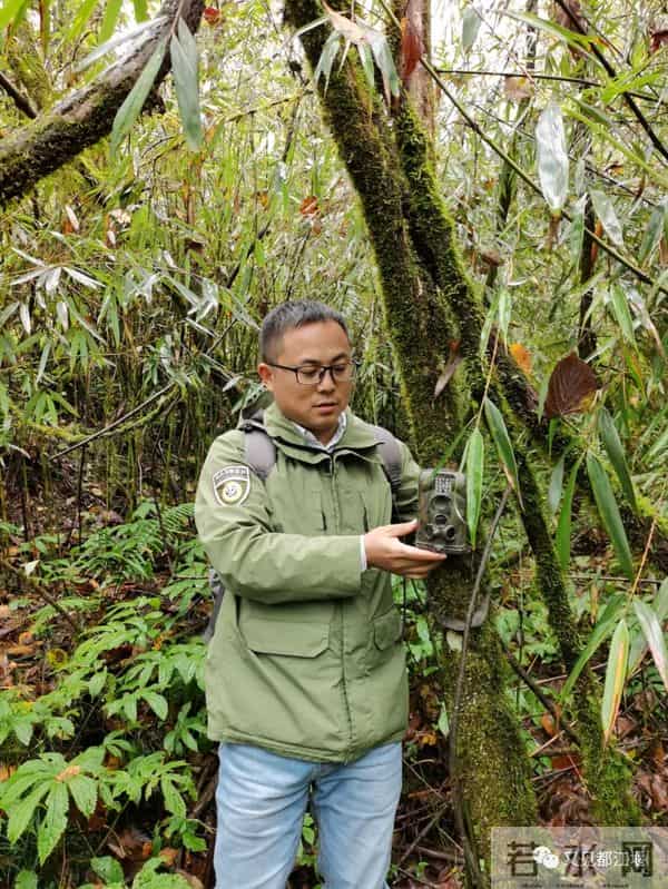 陈艾琳个人资料