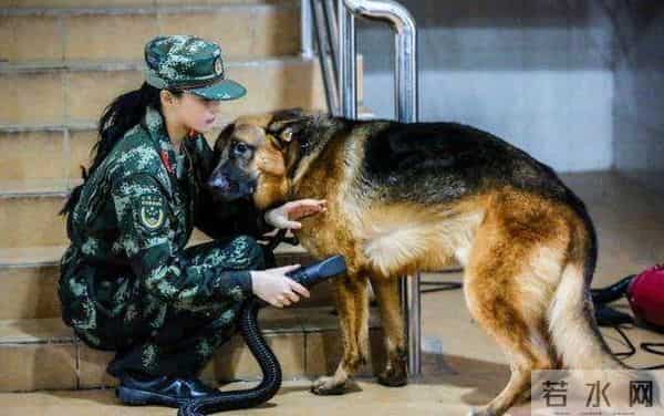 于小彤向刘美含表白