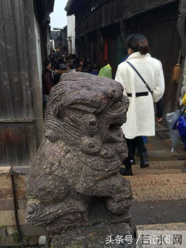 刘若英为什么叫奶茶