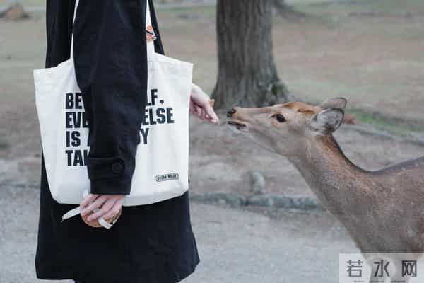 林俊杰炮KING是真的吗