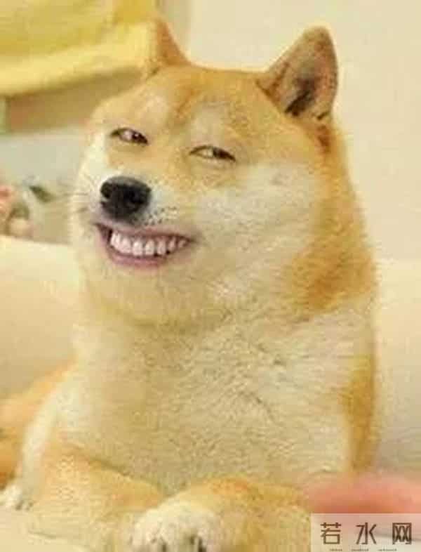 张云龙王一菲恋情