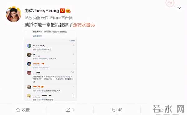 李连杰故意打向佐