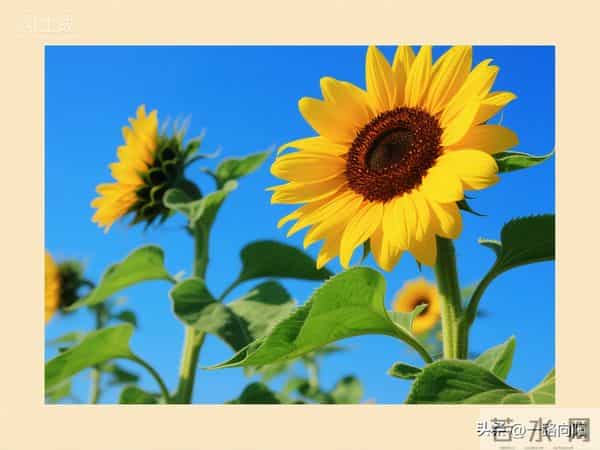 爱一回受一次伤