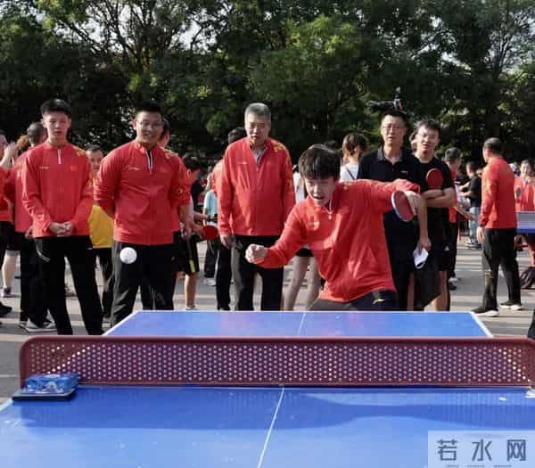 王楚钦公园大爷确实不好打