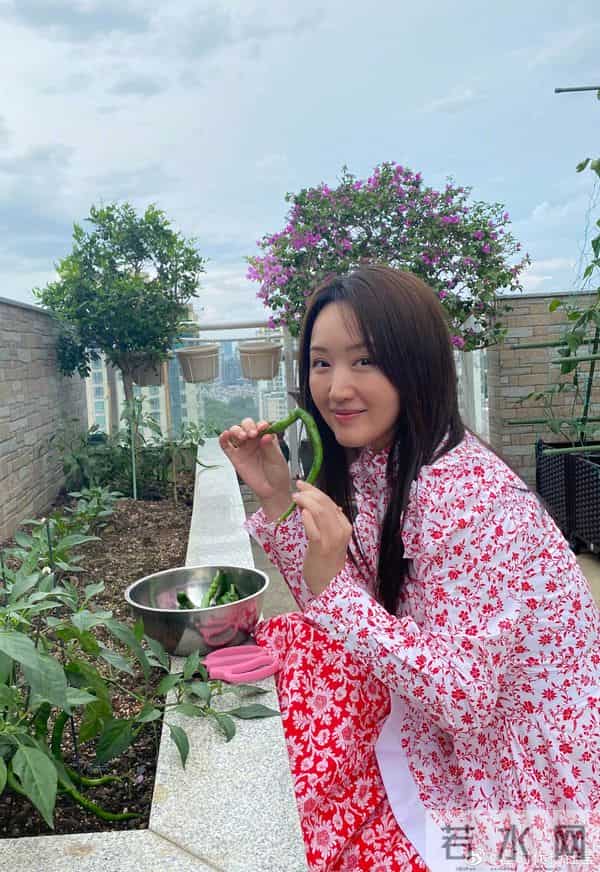 杨钰莹为什么退出歌坛