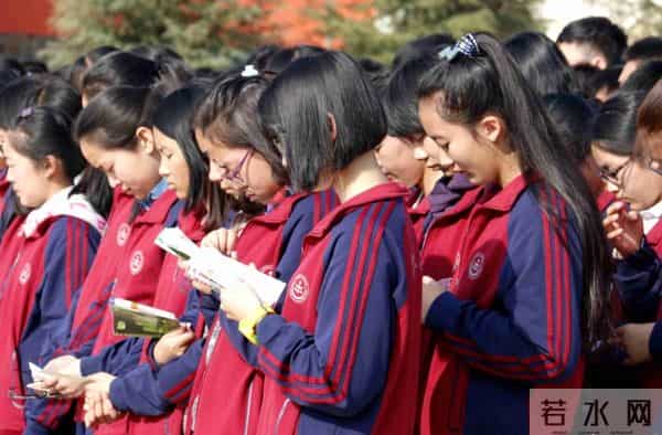 张新成艺考成绩神话