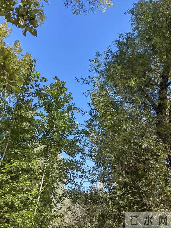 秋风吹起原唱完整版