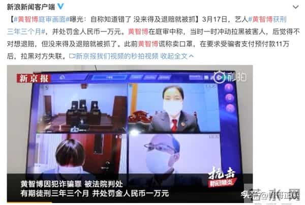 为什么徐静蕾是京圈长公主