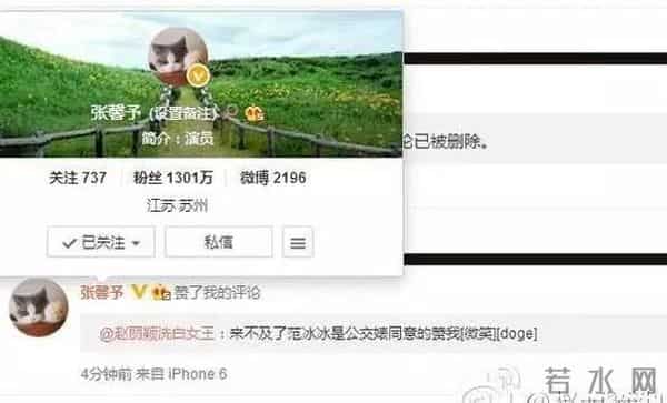 范冰冰为什么是范公交