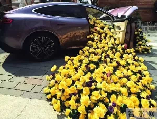 刘亦菲恋爱大赢家