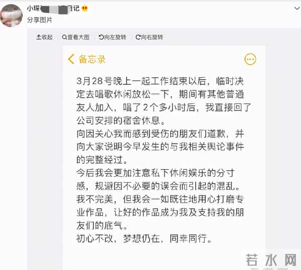 何洛洛盗版事件