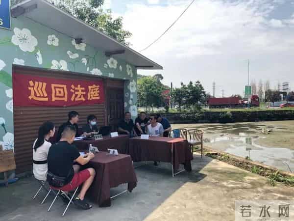 这个鱼塘被你承包了