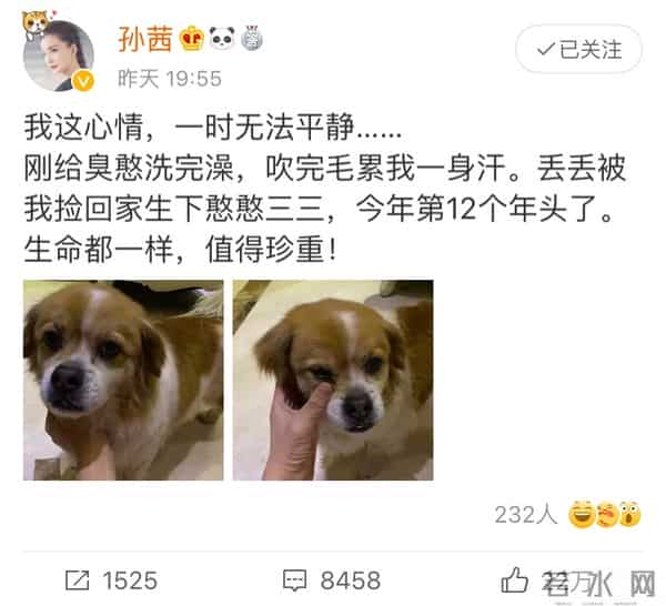 辛芷蕾点赞郑爽张恒