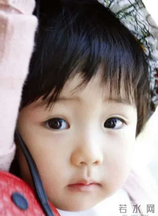 韩剧阳光情人梦