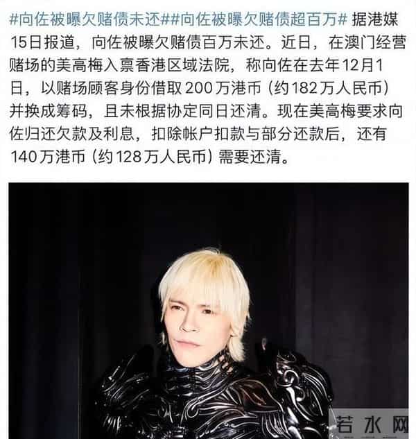 向佐被打事件真相