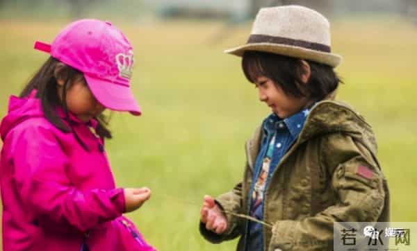 百变大咖秀停播了吗