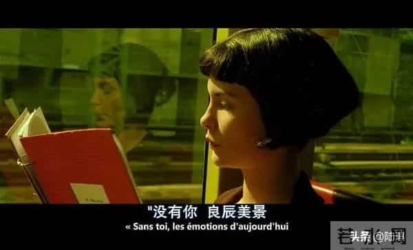 戚薇结婚不是恋爱的目的