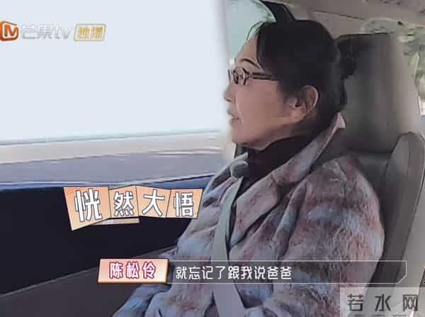 陈松伶05年发生了什么