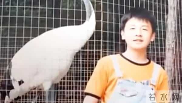 郭京飞武林外传