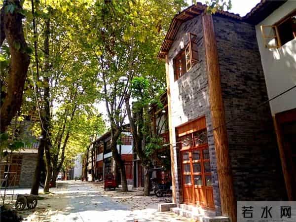 赵子惠个人资料