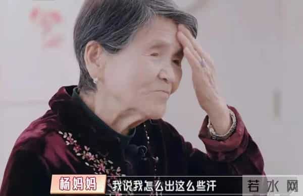 巨力集团杨子的父亲