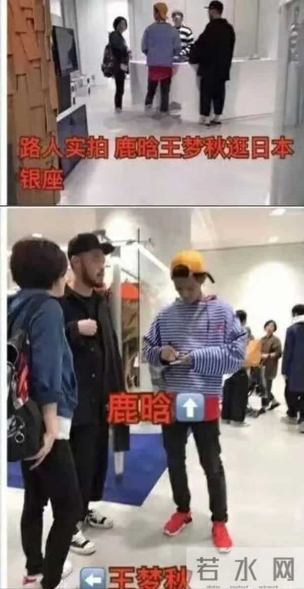 鹿晗为什么退出exo