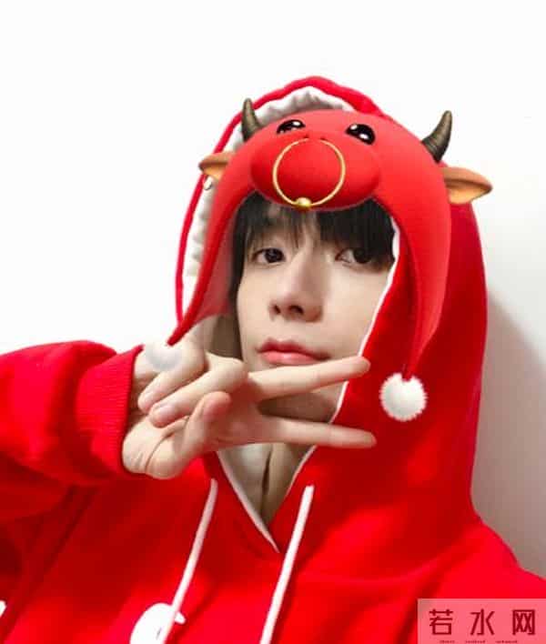 何洛洛为使用盗版软件道歉