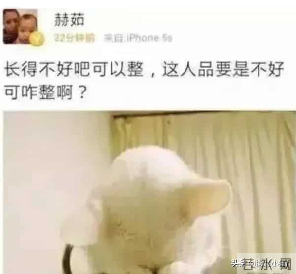 赵丽颖朝阳v姐
