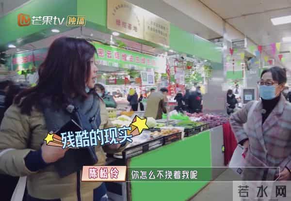 陈松伶05年发生了什么