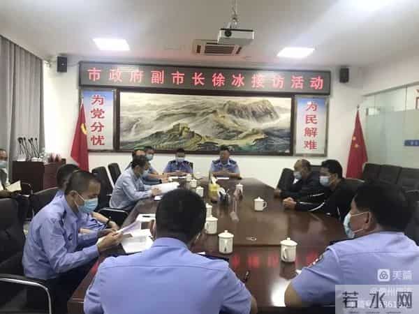 王菲菲个人资料