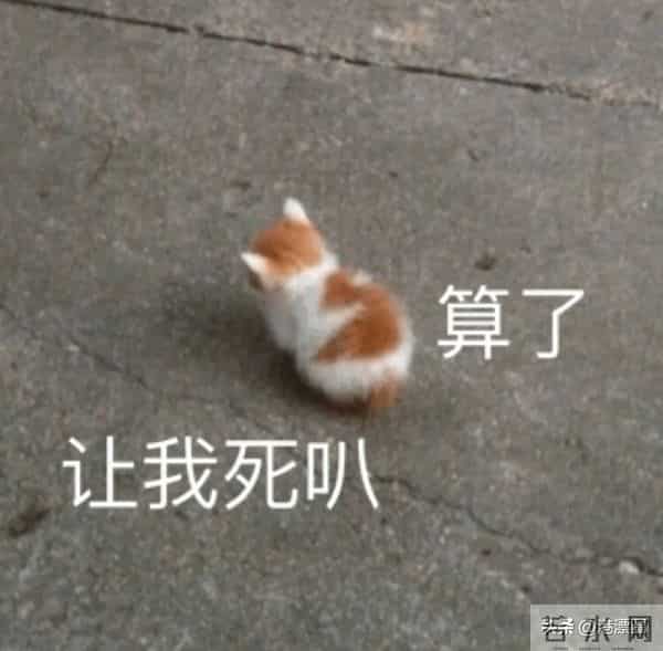 丁蟹效应是什么意思