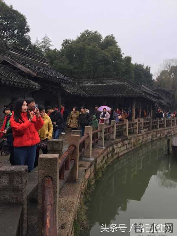 刘若英为什么叫奶茶