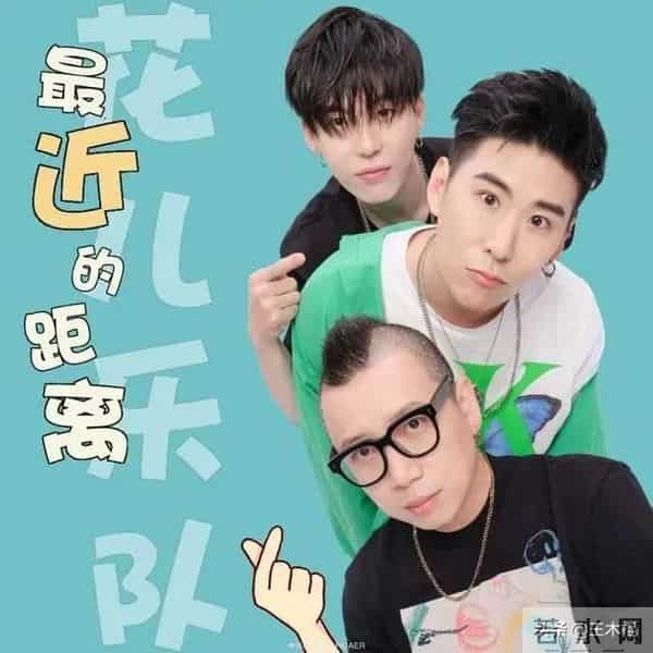 花儿为什么解散