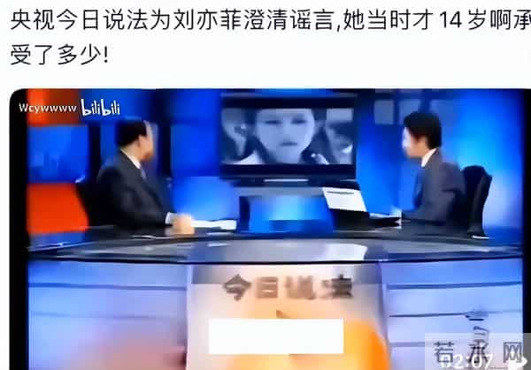 刘亦菲恋爱大赢家