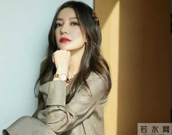 赵薇万惠事件是什么