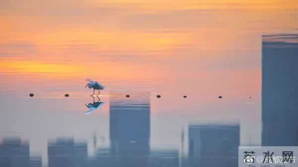 青龙湖水上公园