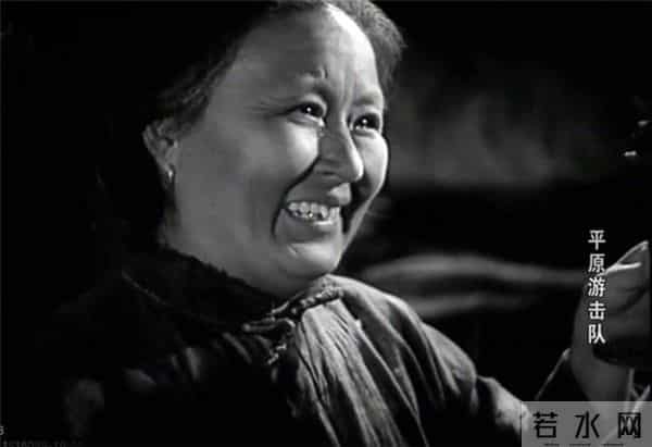 平原游击队电视剧