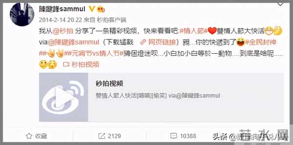 陈键锋女友舒畅