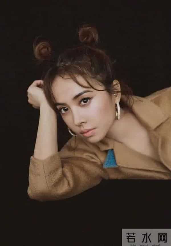 蔡依林个人简历