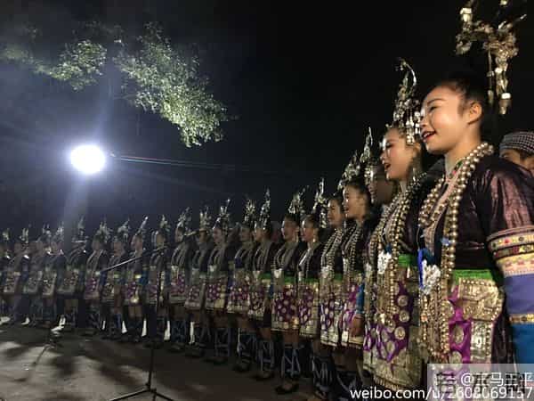 赵子惠个人资料